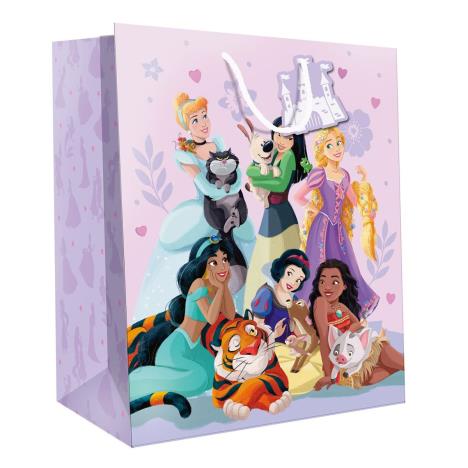 Disney Princess Large Gift Bag £2.95